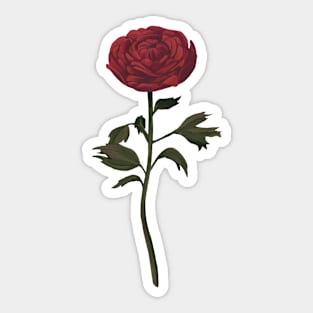 Red Buttercup Sticker